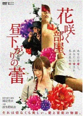 佛前灯 电影 2026 即将上线